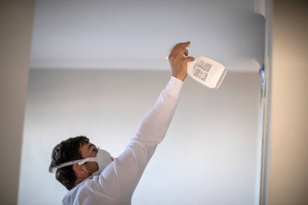 Best Crawl Space Mold Removal  in Bellflower, CA