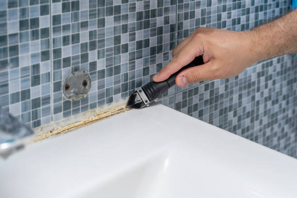 Best Residential Mold Removal  in Bellflower, CA