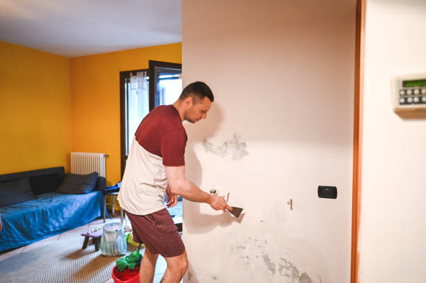 Professional Mold Removal in Bellflower, CA
